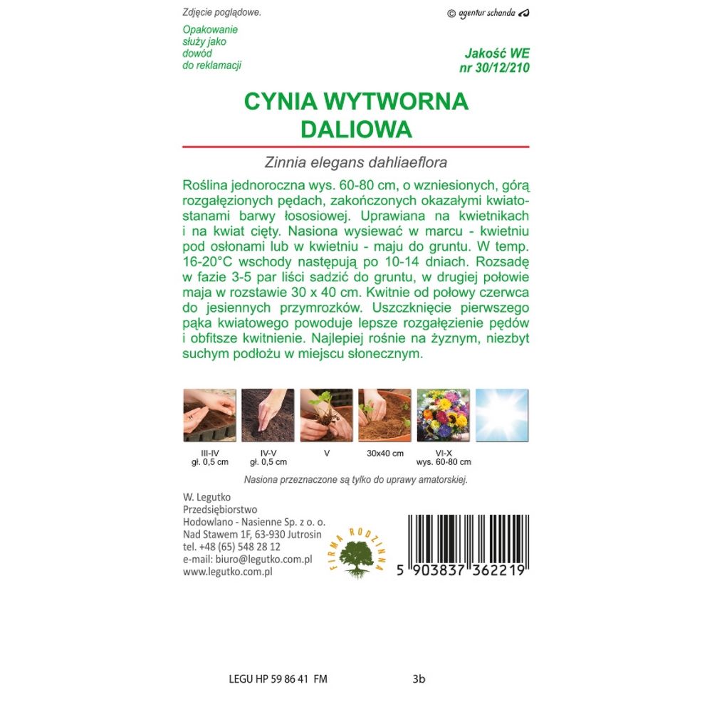 Cynia wytworna Eldorado daliowa łososiowa 1g Sklep W Legutko