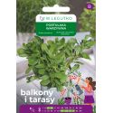 Portulaka warzywna 0.50g na balkon i taras - Nasiona - W. Legutko