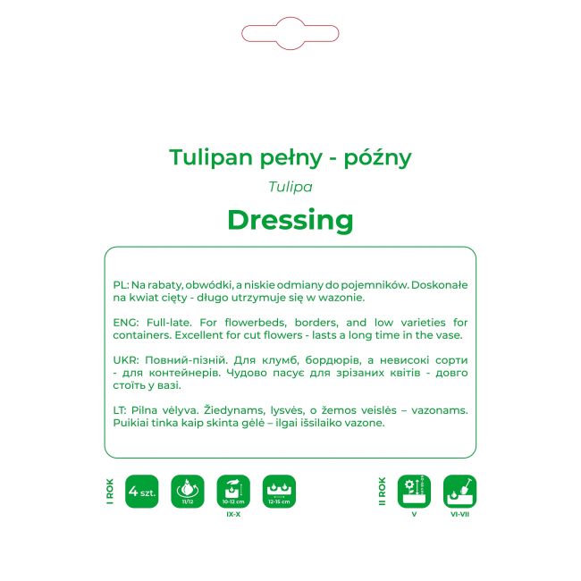 Tulipan Dressing różowy 4szt. - Cebule i Kłącza - W. Legutko