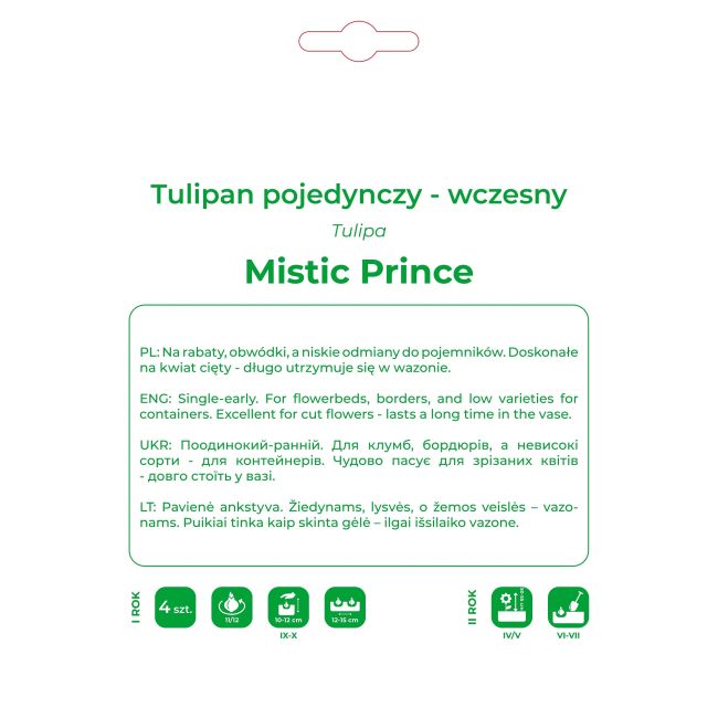 Tulipan Mistic Prince różowy 4szt. - Cebule i Kłącza - W. Legutko