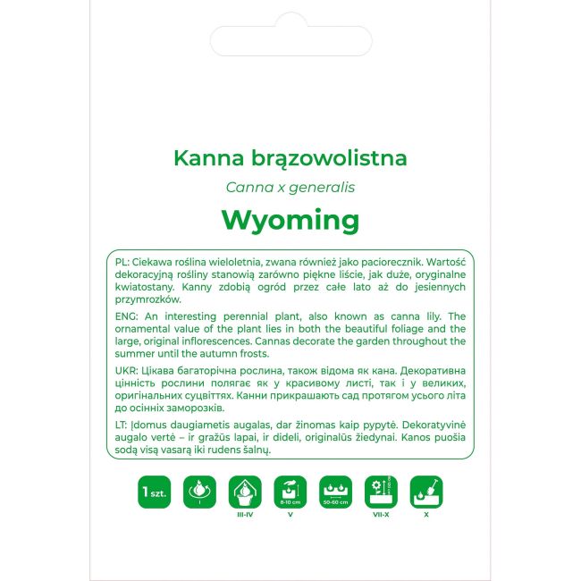 Kanna Wyoming pomarańczowa 1szt. - Cebule i Kłącza - W. Legutko