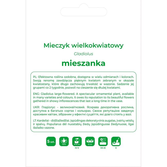 Mieczyk mieszanka 5szt. - Cebule i Kłącza - W. Legutko