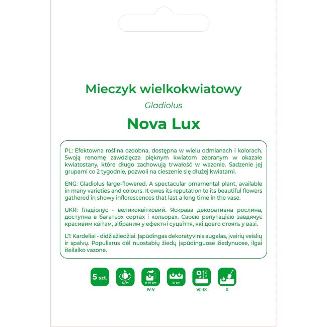 Mieczyk Nova Lux żółty 5szt. - Cebule i Kłącza - W. Legutko