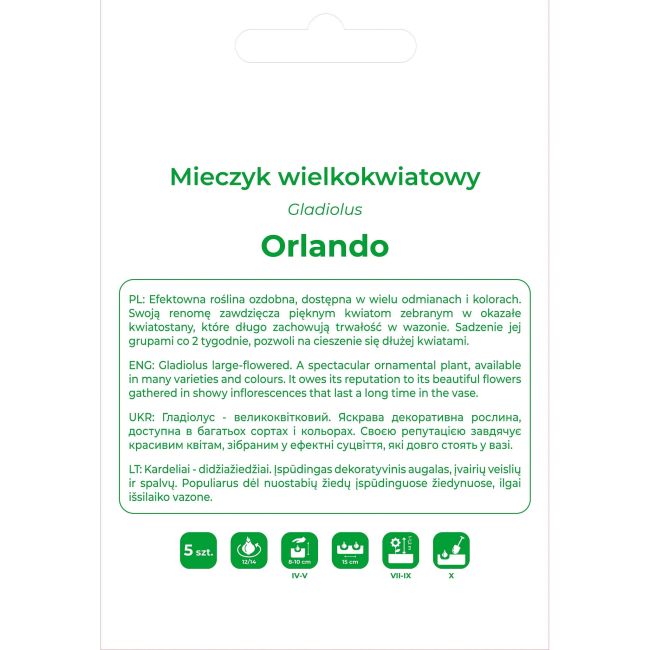 Mieczyk Orlando różowo-biały 5szt. - Cebule i Kłącza - W. Legutko