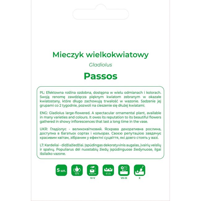 Mieczyk Passos fioletowo-różowo-biały 5szt. - Cebule i Kłącza - W. Legutko