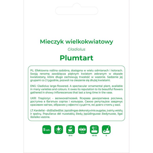 Mieczyk Plumtart amarantowy 5szt. - Cebule i Kłącza - W. Legutko