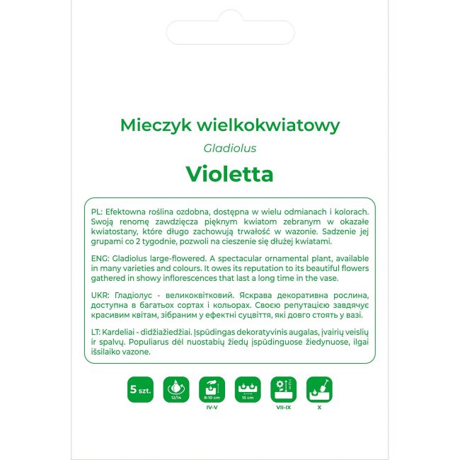 Mieczyk Violetta szafirowy 5szt. - Cebule i Kłącza - W. Legutko