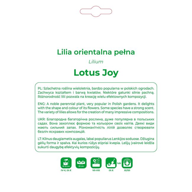 Lilia Lotus Joy różowa 1 szt. - Cebule i Kłącza - W. Legutko