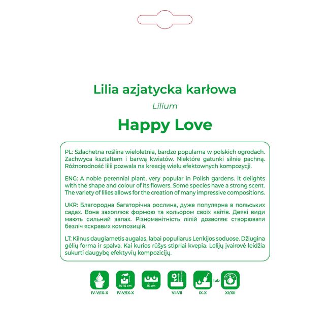 Lilia Happy Love czerwona 1 szt. - Cebule i Kłącza - W. Legutko