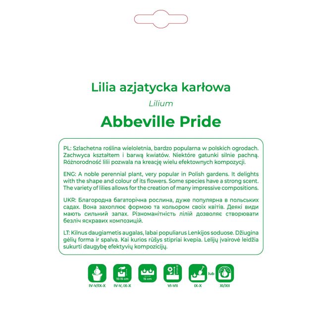 Lilia Abbeville Pride pomarańczowa 1 szt. - Cebule i Kłącza - W. Legutko