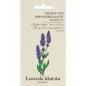 Lawenda lekarska 0.20g OLD - Nasiona - W. Legutko