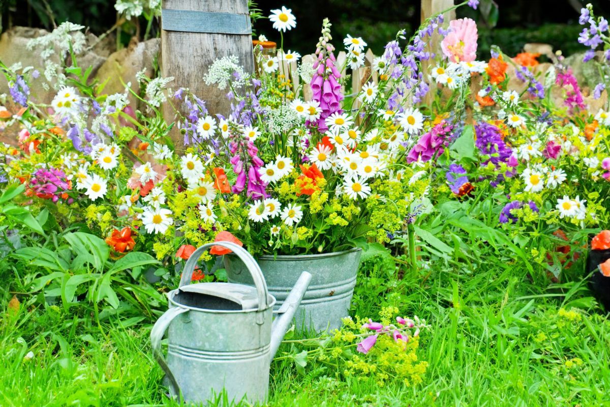 Florystka radzi - jak prosto zrobić efektowny bukiet z kwiatów letnich?